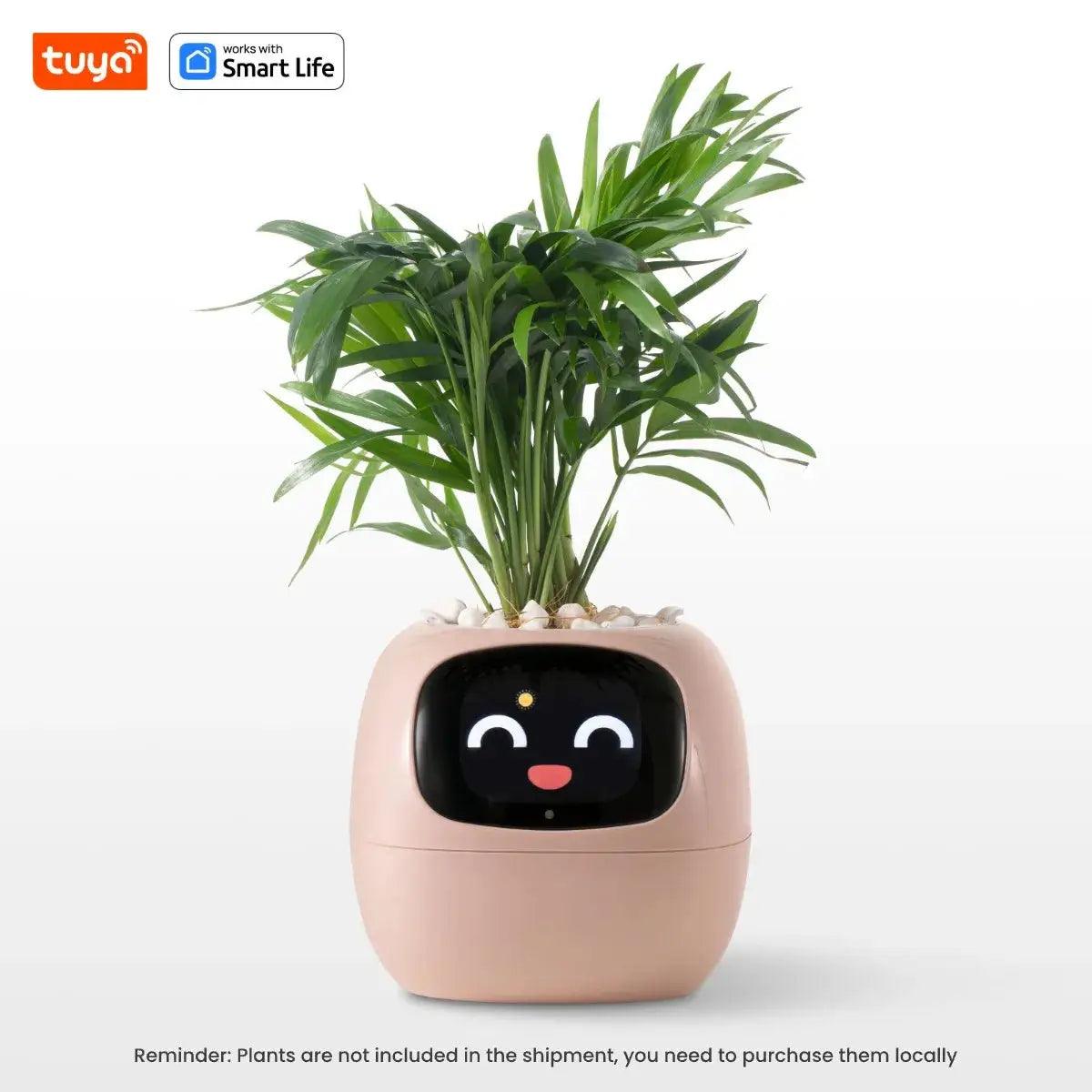 Ivy - L'Assistant Intelligent Pour des Plantes en Pleine Santé et Connectées