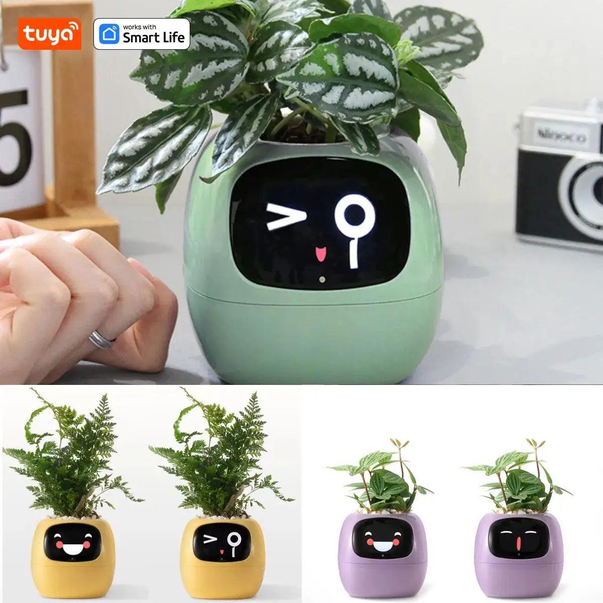 Ivy - L'Assistant Intelligent Pour des Plantes en Pleine Santé et Connectées